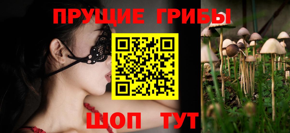 Псилоцибиновые грибы прущие грибы Балашиха