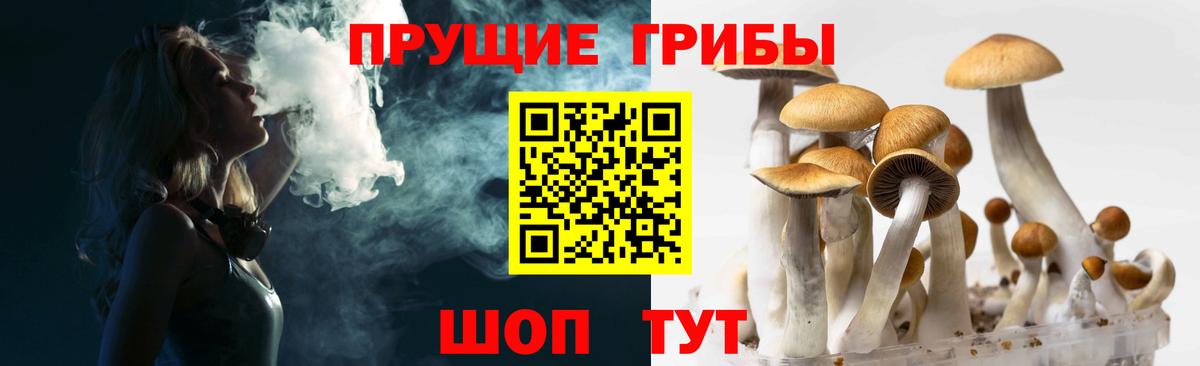 Галлюциногенные грибы MAGIC MUSHROOMS  Вход с VPN  Балашиха 